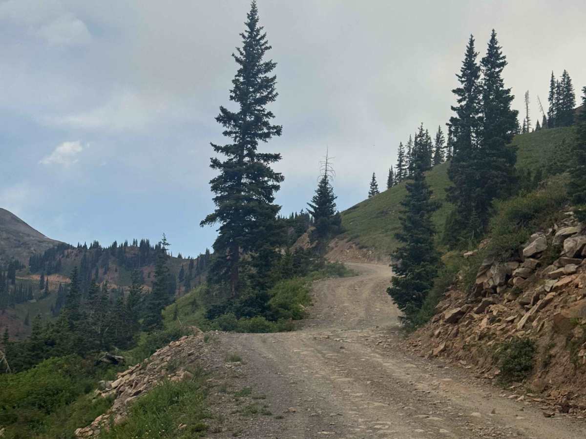 Paradise Divide photo 2