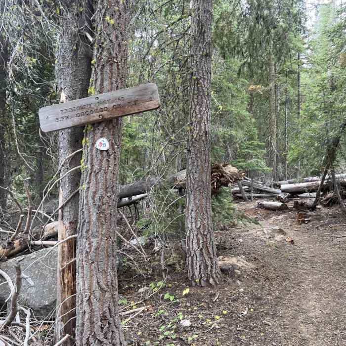 Near Crooked Creek Peak