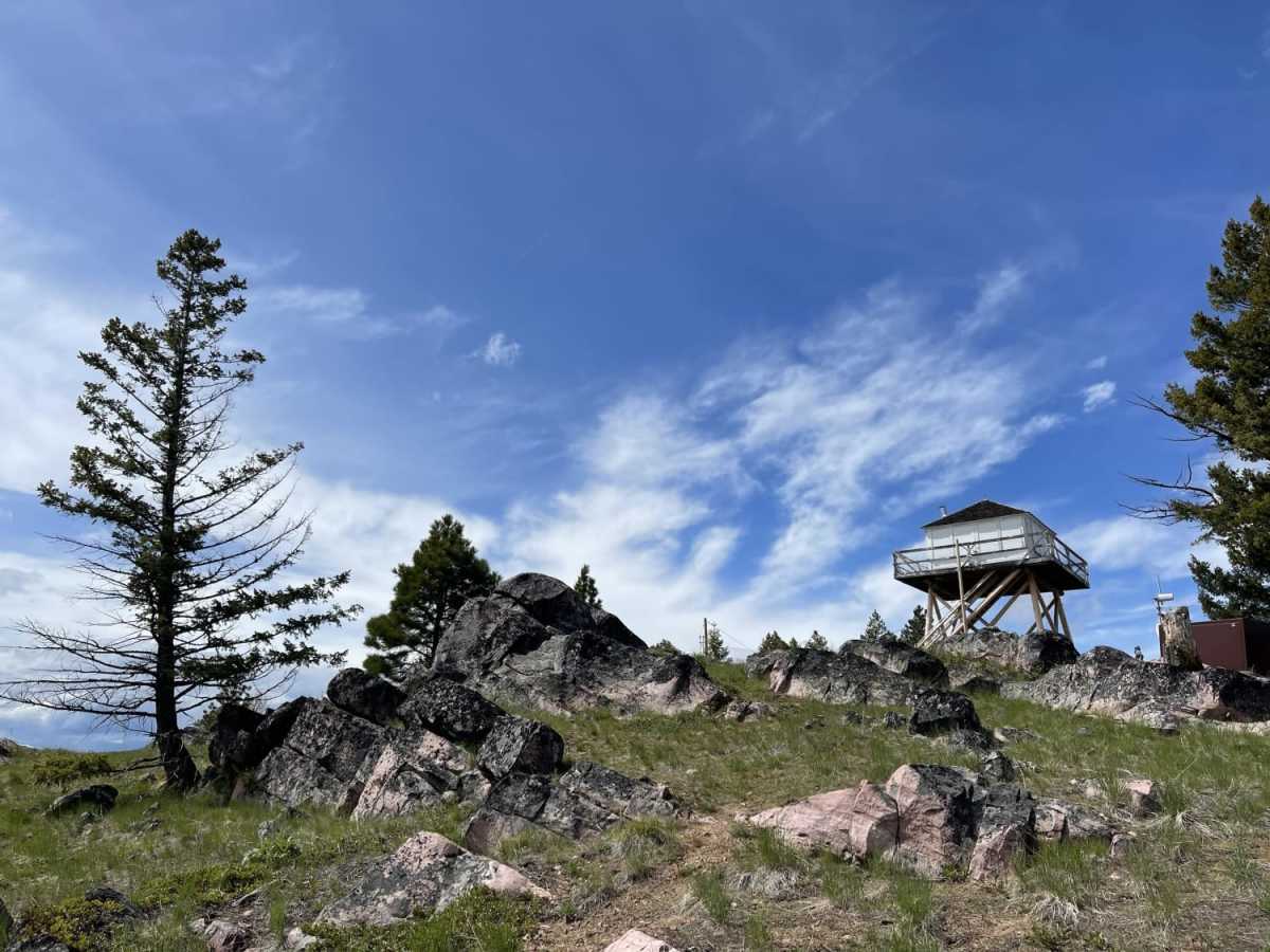Double Arrow Lookout Tower trail photo