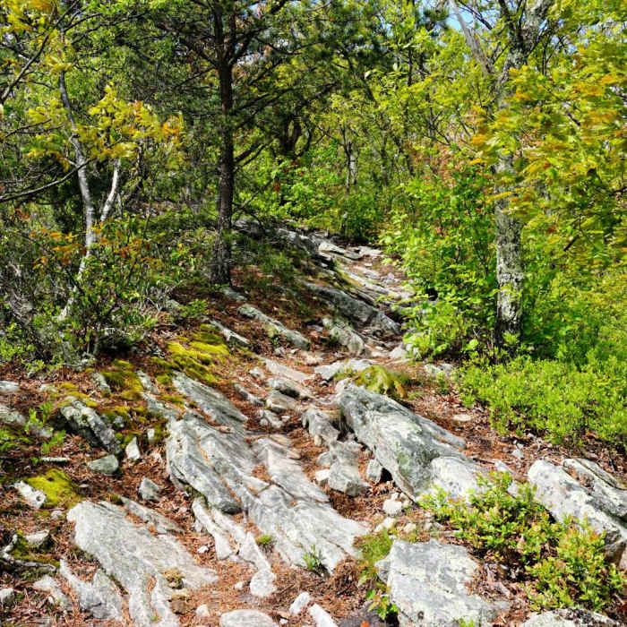 Near Kennedy Peak Out-and-Back