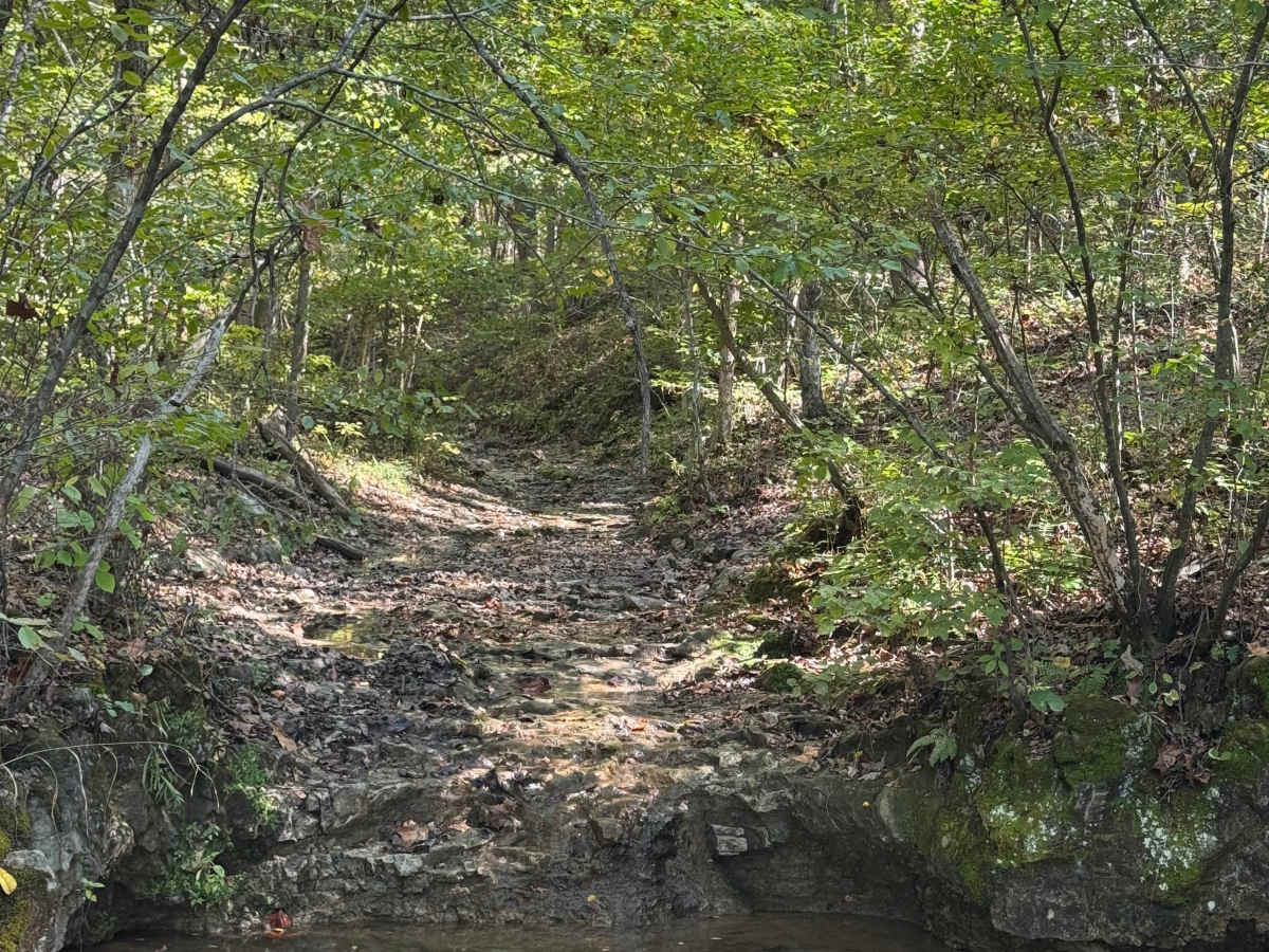 Waterfall Run trail photo