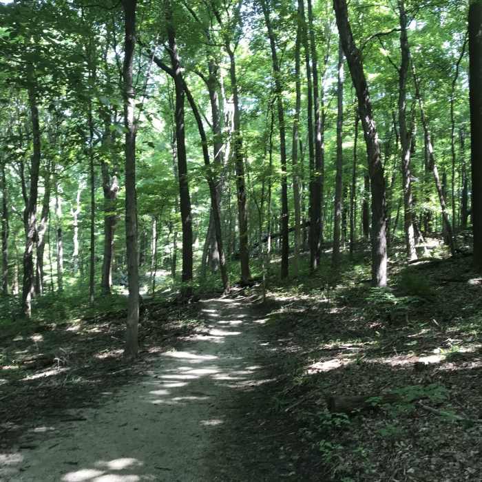 Near Elliott Woods Trail