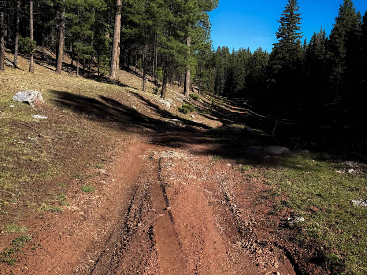 Windy Trail - 612  photo 5