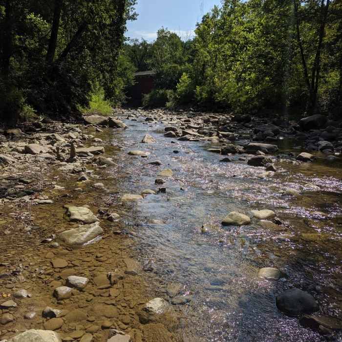 Furnace Run trail, CVNP Near Valley Trail