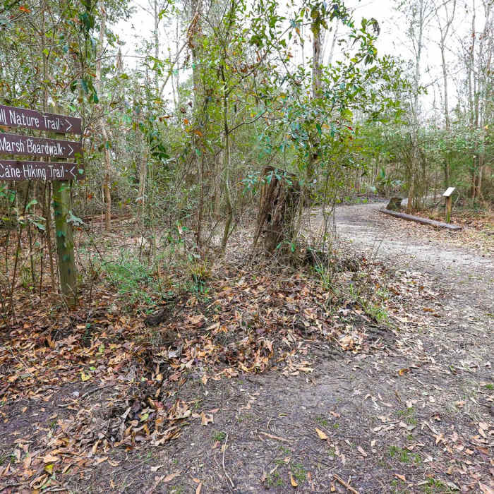 Near Sugar Mill Nature Trail Near Sugar Mill Nature Trail