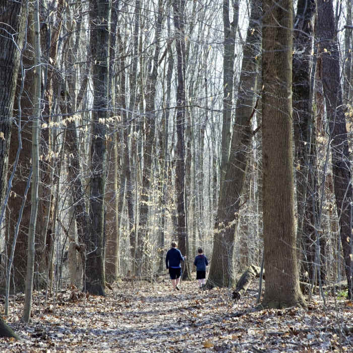 Walking through the forest. Near Warren Woods