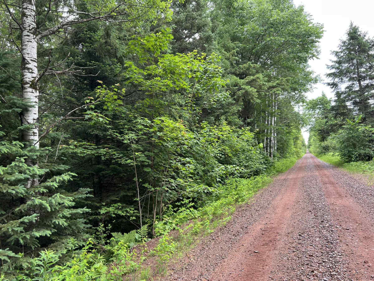 Trail SI Thayer photo 3