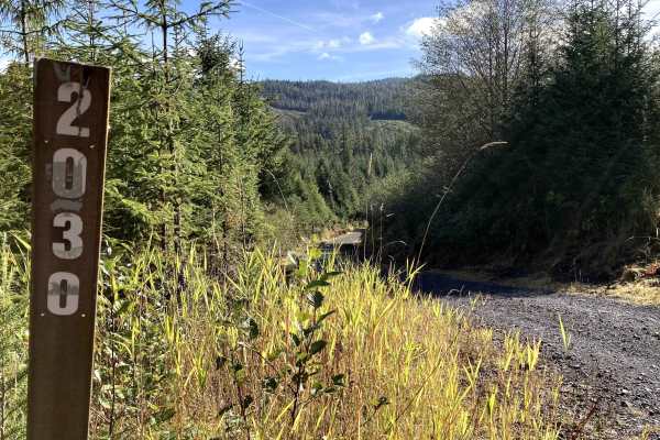 Lake Ellen Road West - FS 203000W