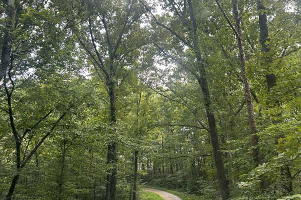 Richland Ridge Road