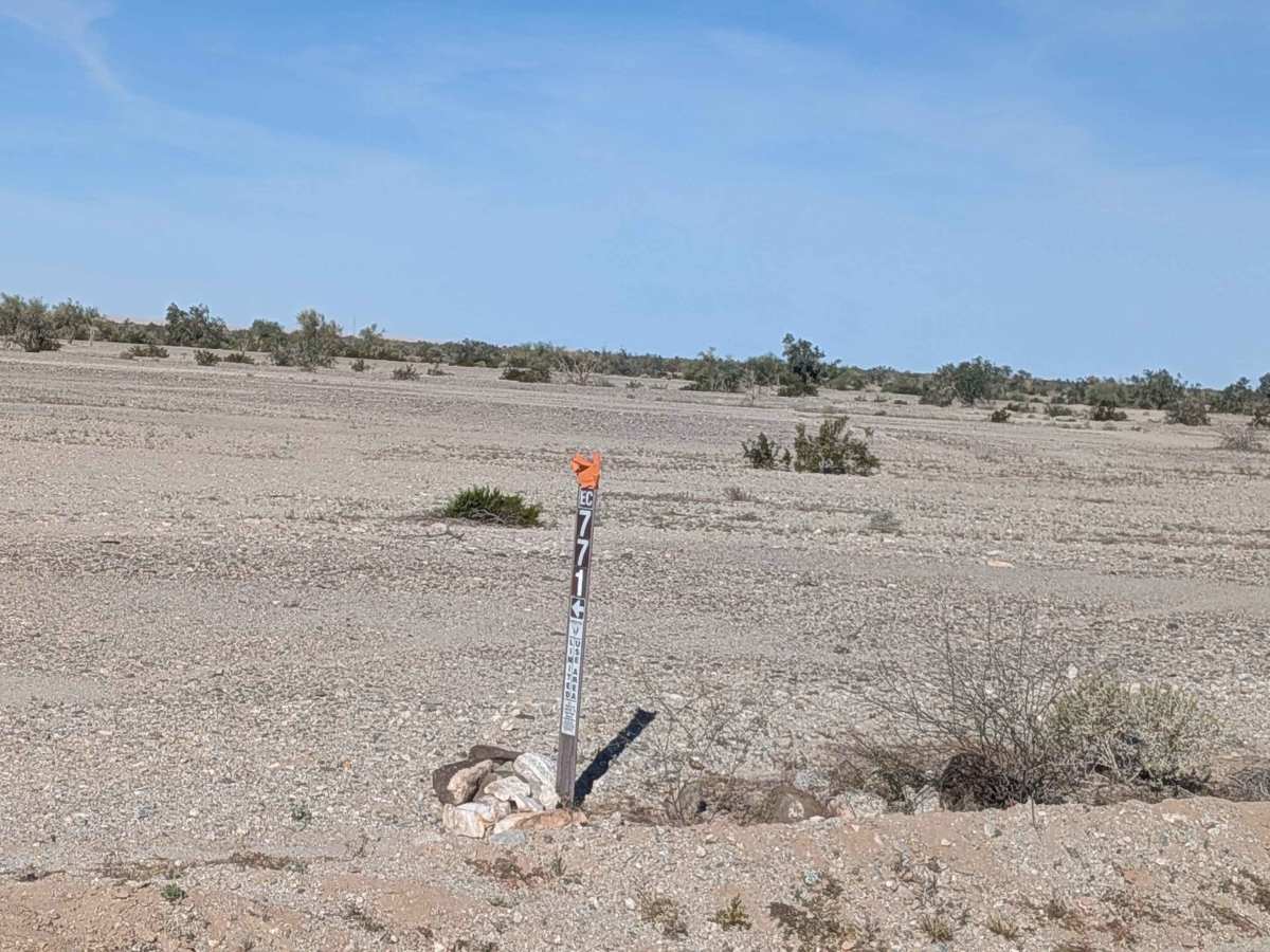 BLM 771 photo 2