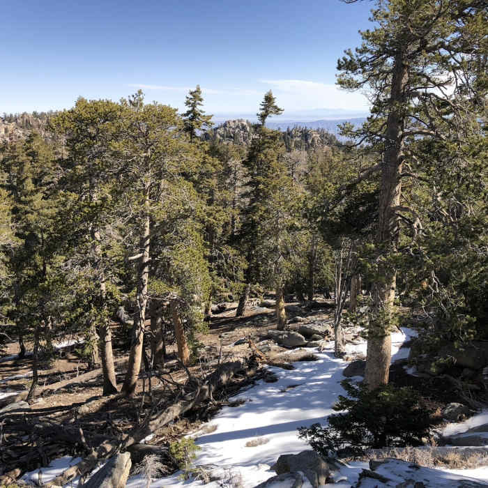 Near Round Valley Loop