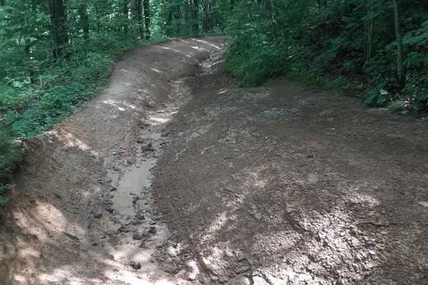 Camp Creek Trail