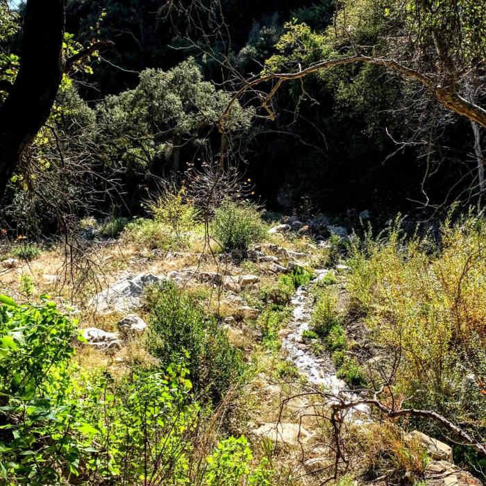 Near Romero Canyon Trail 26W14