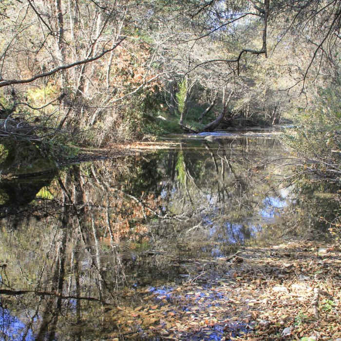 Near Headlands to Creamery Meadow Loop Near Headlands to Creamery Meadow Loop