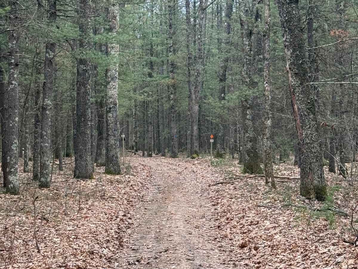 FS 8420 trail photo