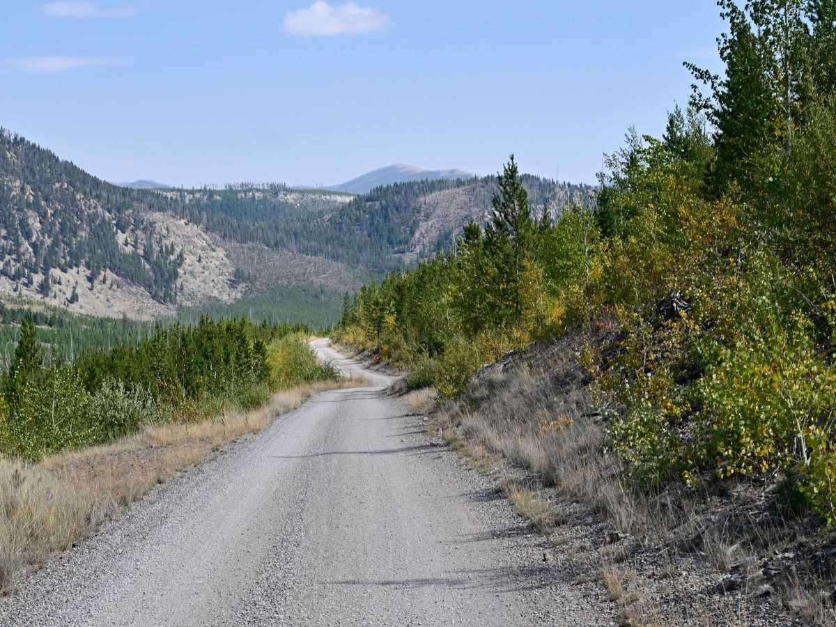 Copper Creek Road - FS 330 trail photo