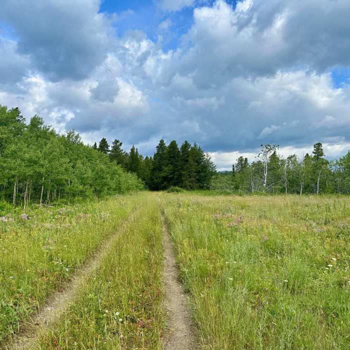 Near Continental Divide Trail: Montana-Idaho Section 26