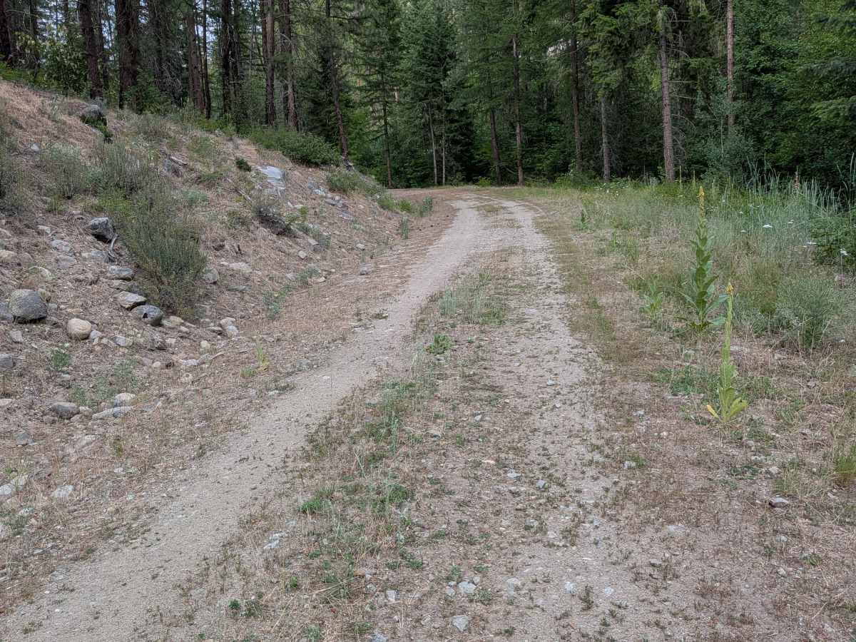 North Cook Mountain Road - South half photo 4