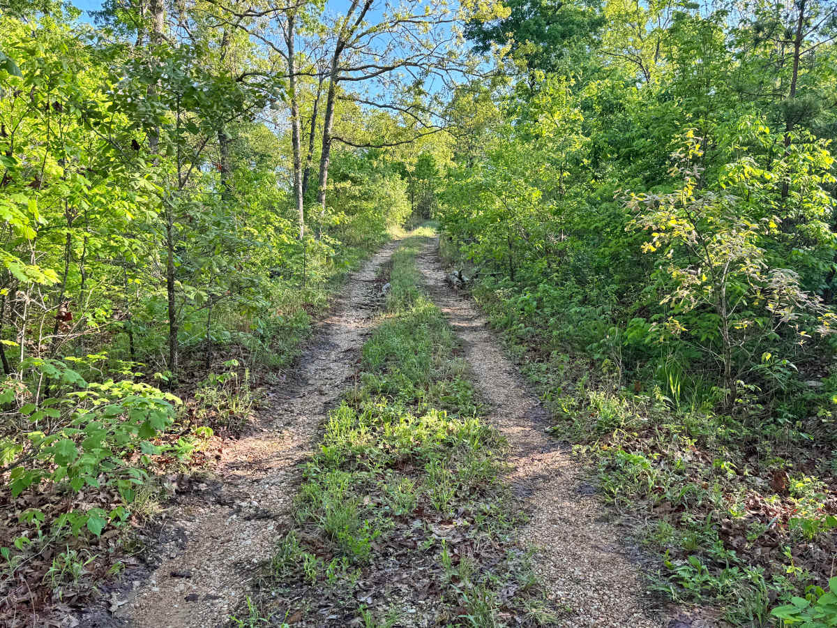 Watts Hollow - FS 1509 photo 3
