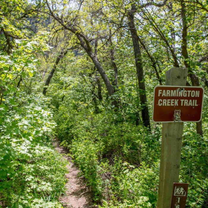 Near Farmington Creek Trail