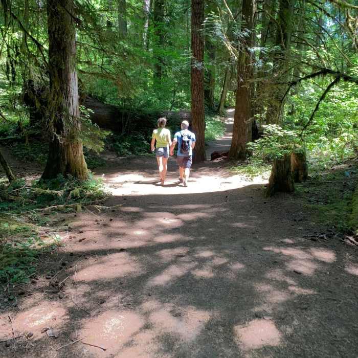 Near North Umpqua Trail #1414