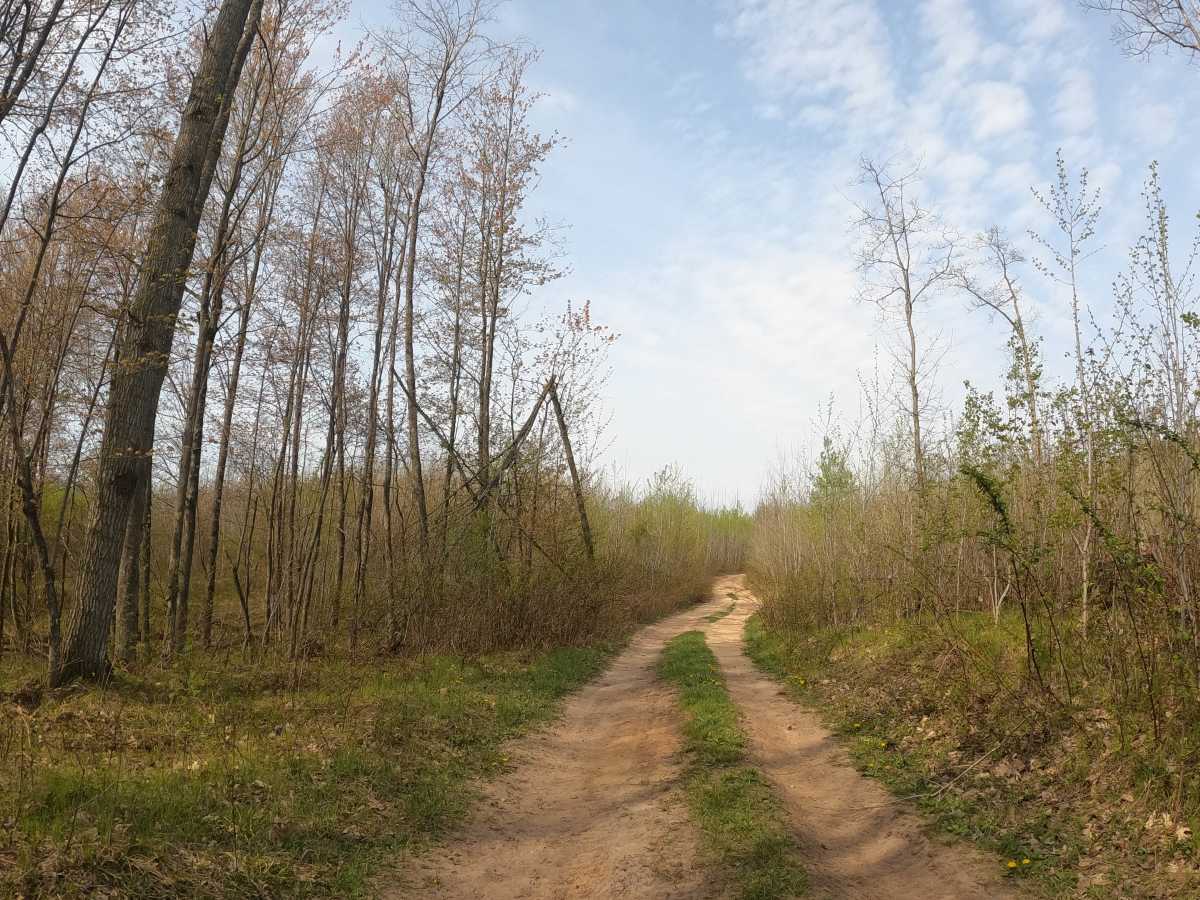 Evart Overlook photo 4