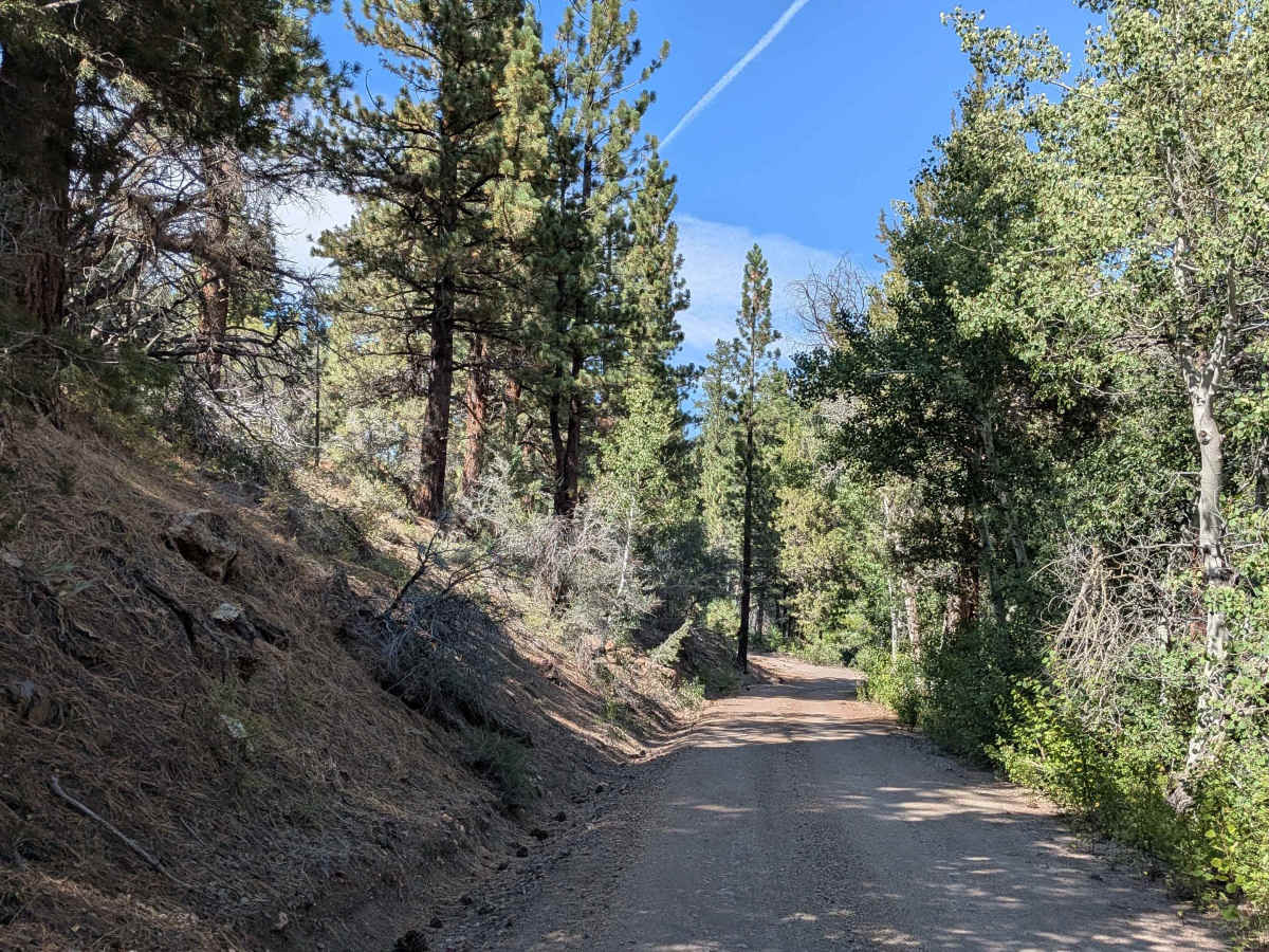 Leviathan Mine Road photo 5
