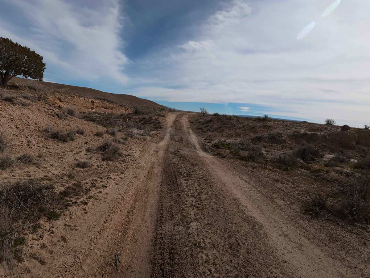 BLM 125 photo 5
