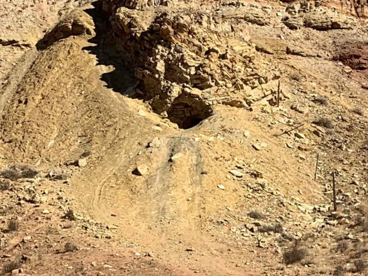 Sunshine Trail trail photo