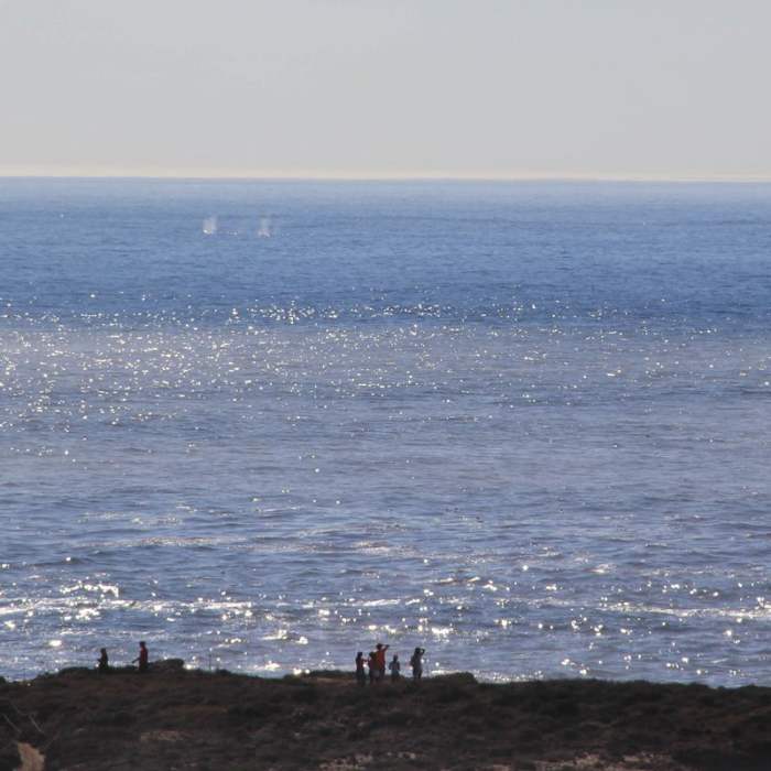 Near Cypress Grove Trail Near Cypress Grove Trail