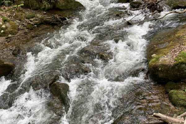 Table Falls Loop