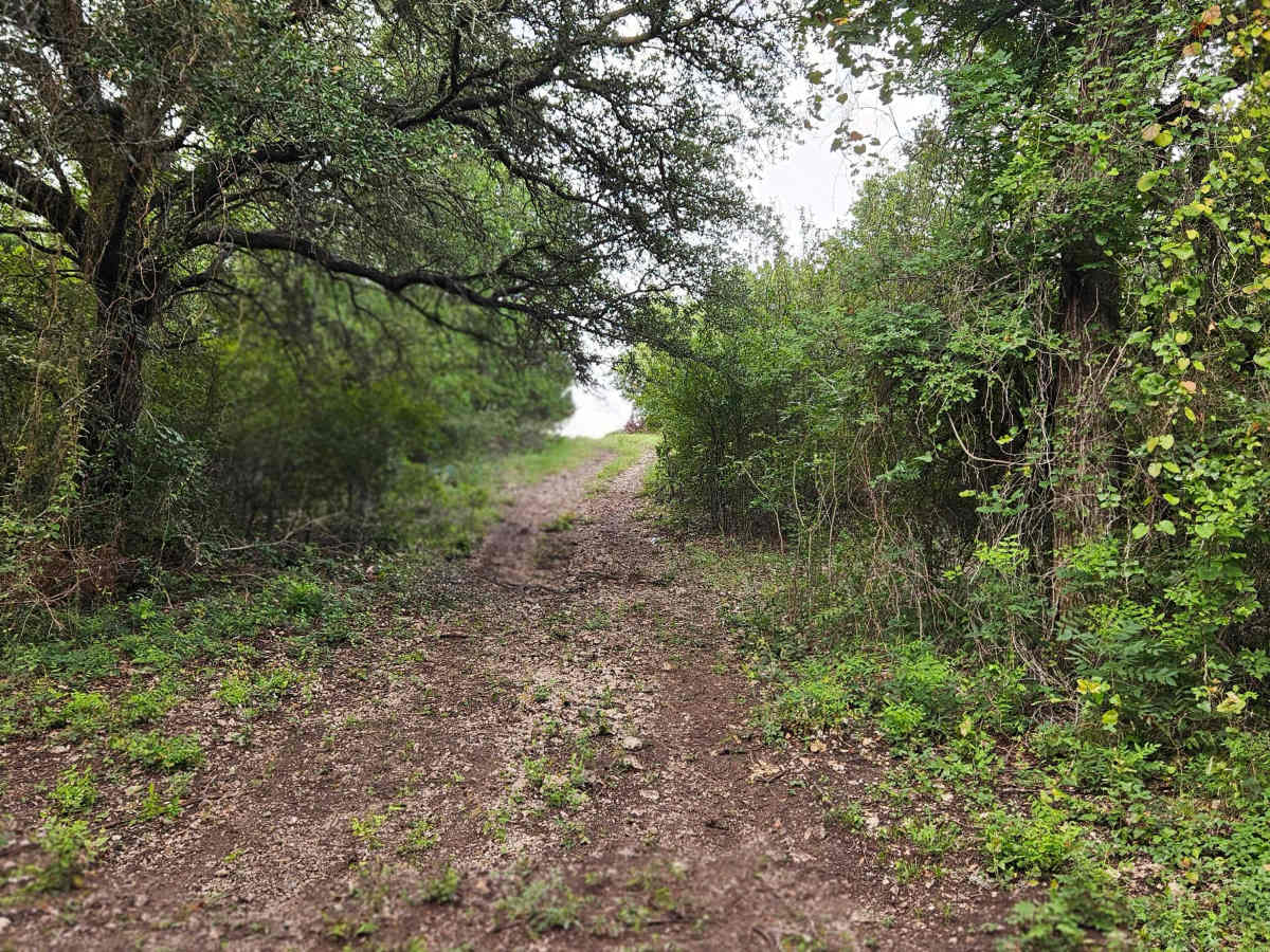 July's Draw trail photo