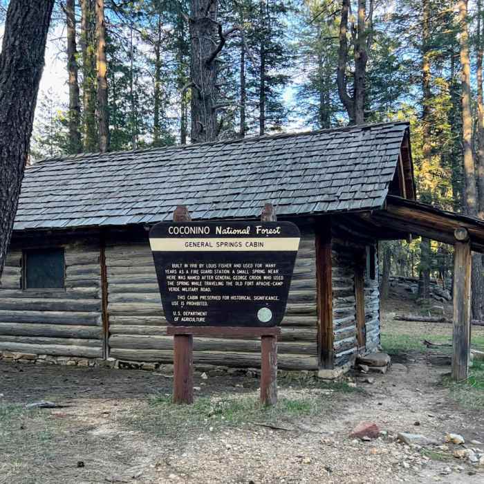 Near Arizona Trail Passage 27: Blue Ridge Near Arizona Trail Passage 27: Blue Ridge