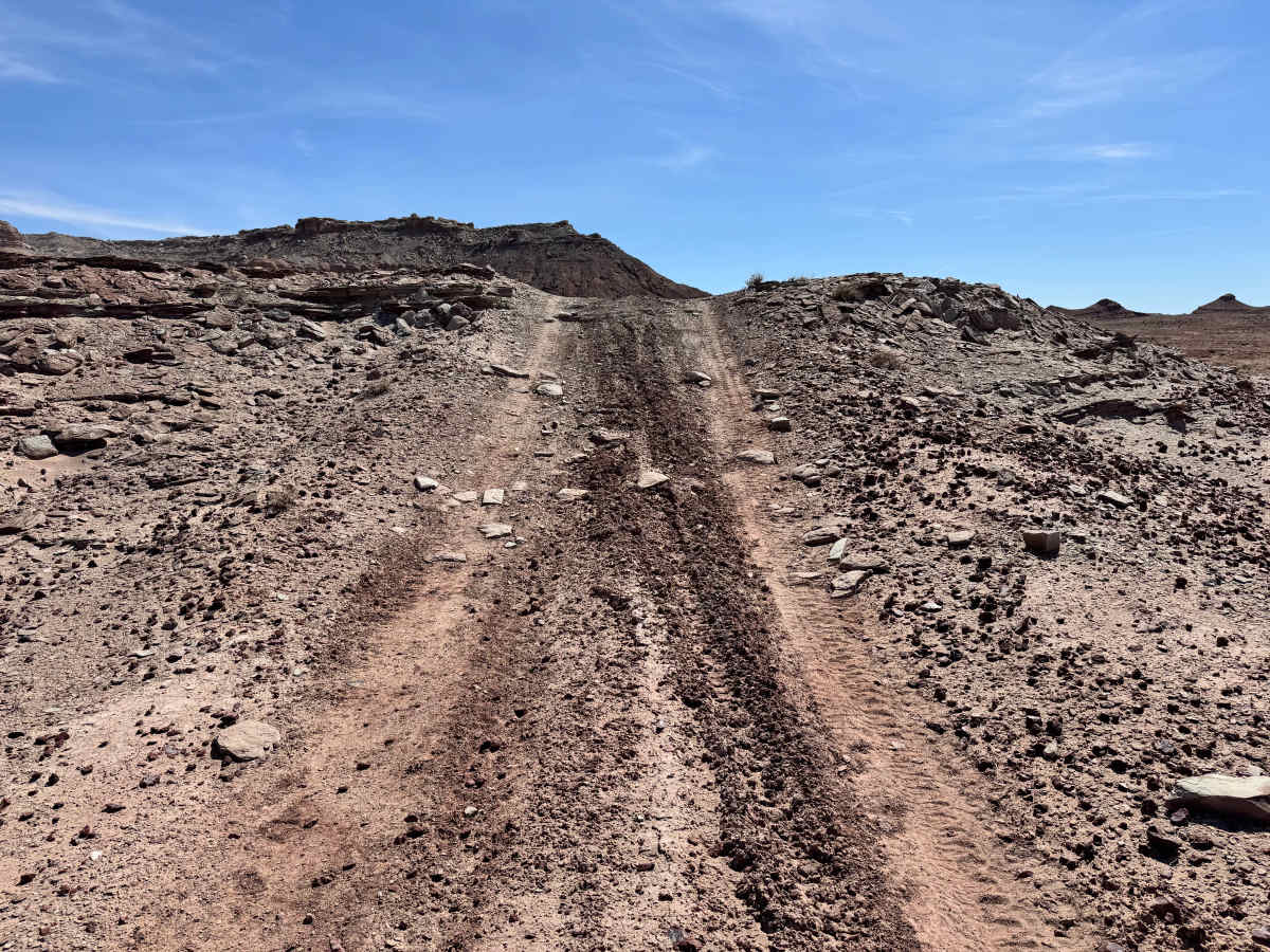 Salt Wash Trail photo 4