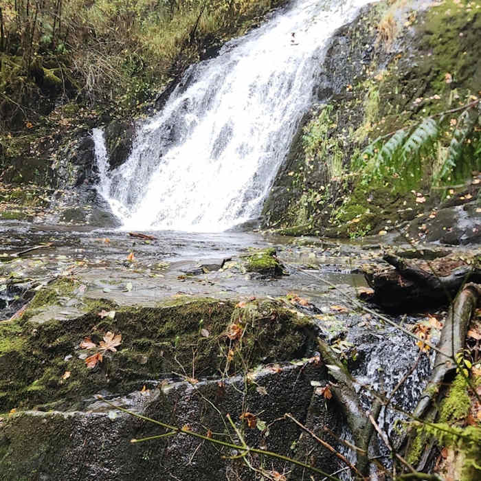 Near Green Peak Falls Trail