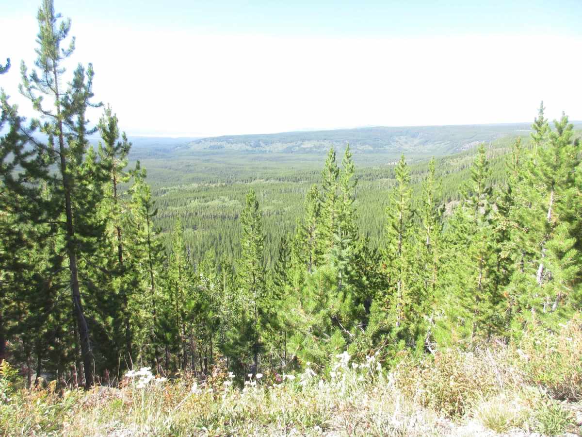 Buffalo River via Fish Creek photo 6