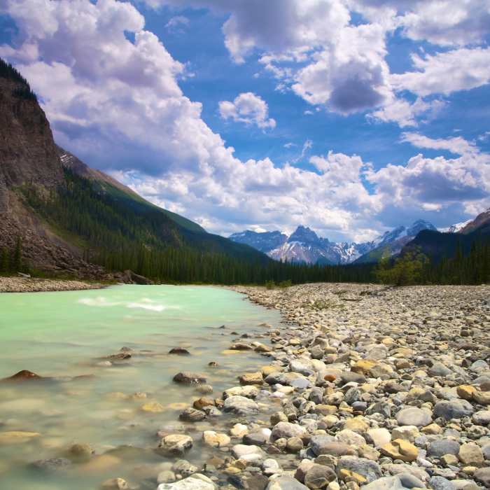 Near Laughing Falls Trail