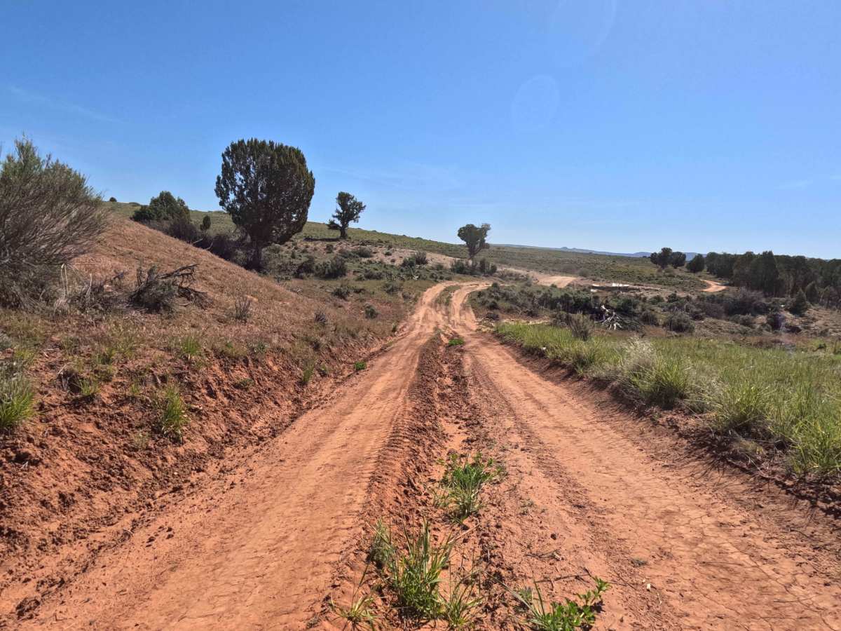 BLM 72 photo 2
