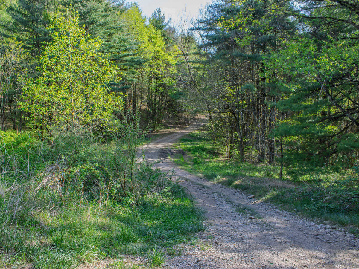Pipeline Ridge photo 5