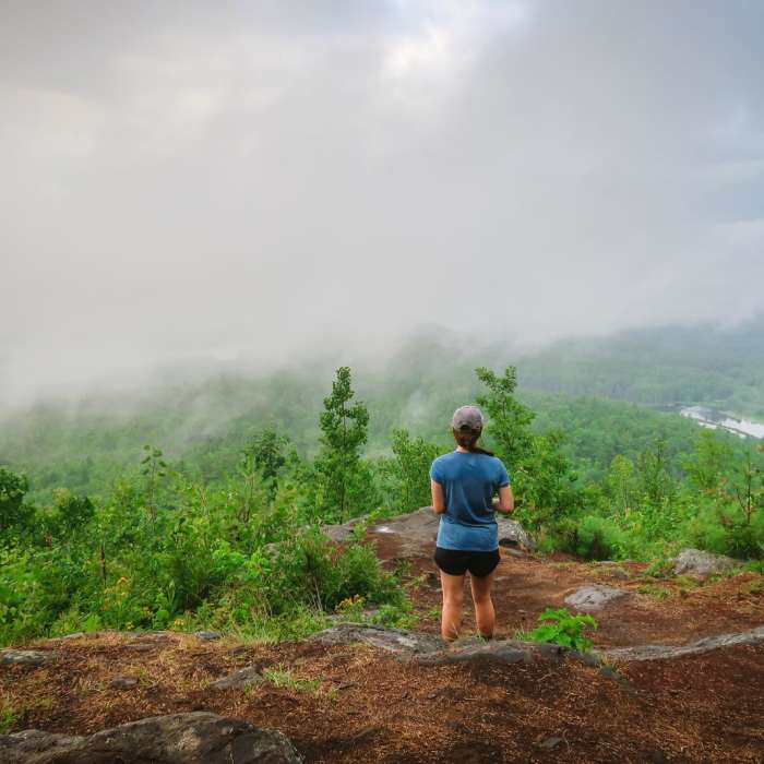 Near The Pinnacle Near The Pinnacle