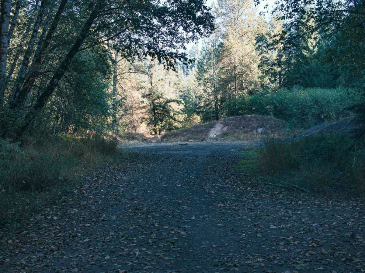 Ames Creek photo 4
