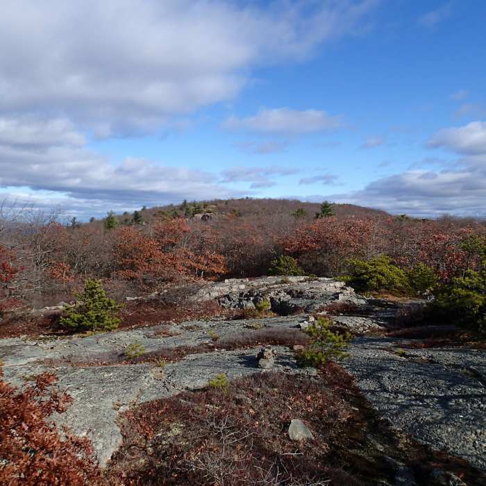 Schunnemunk Ridge comes alive after the snow melts and spring brings sunshine. Near Western Ridge Trail