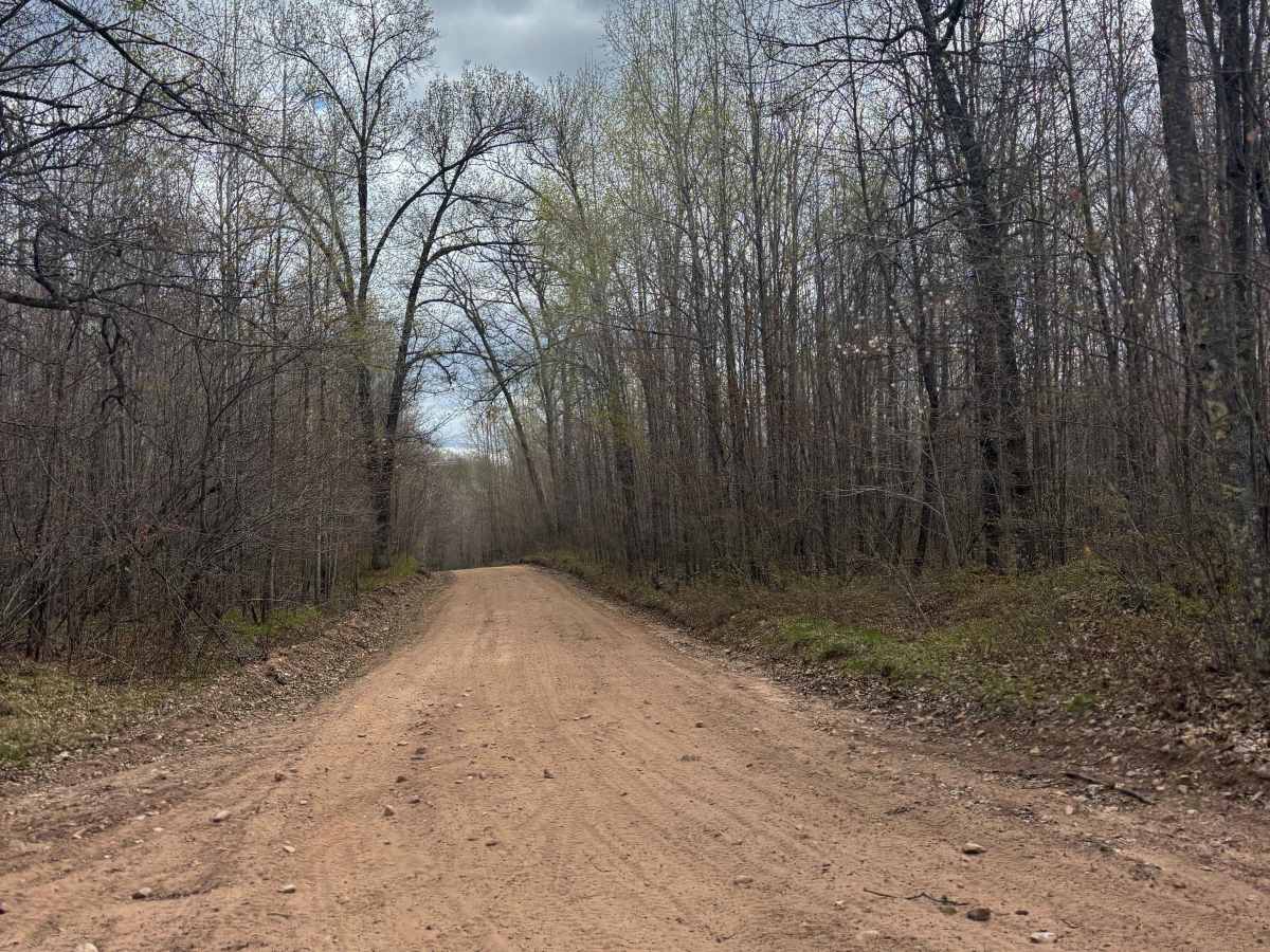 Pansy Lane Trail photo 5