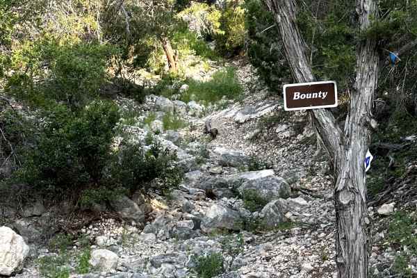 Bounty Hill - V17