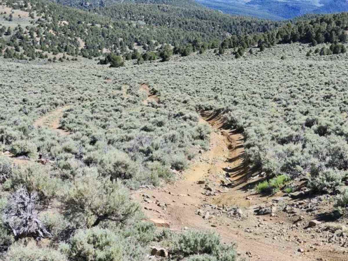 Pine Grove Summit photo 4