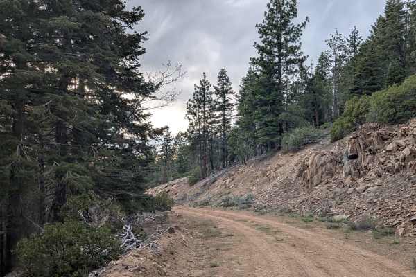 Deadwood - FS 23S09