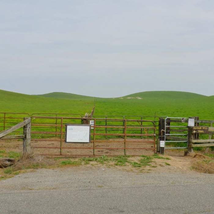 Near Suisun Hill Trail Hike