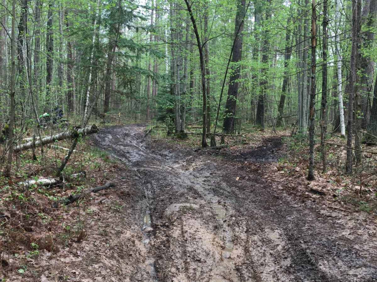 Atlanta Trail's - Center Loop photo 5