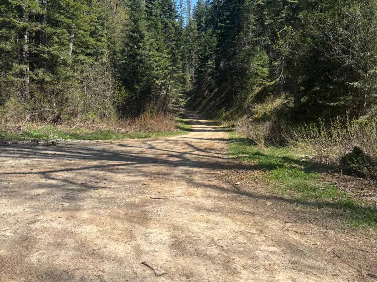 2 Mile Road photo 2
