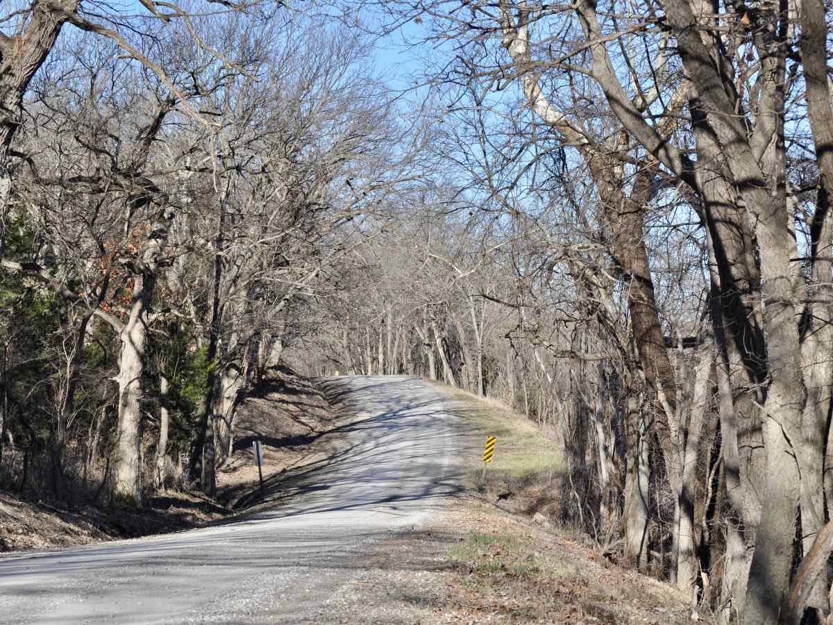 Scenic River Road photo 5